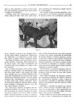 giornale/TO00190201/1941-1942/unico/00000080