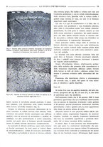 giornale/TO00190201/1941-1942/unico/00000096