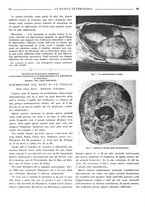 giornale/TO00190201/1941-1942/unico/00000104