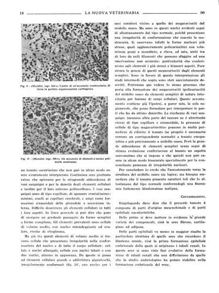 La nuova veterinaria rivista mensile fondata e diretta da Alessandro Lanfranchi