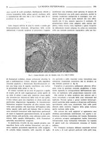 giornale/TO00190201/1941-1942/unico/00000126