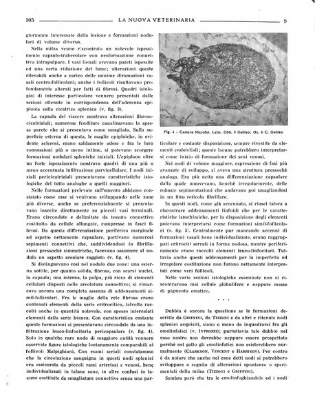 La nuova veterinaria rivista mensile fondata e diretta da Alessandro Lanfranchi