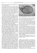 giornale/TO00190201/1941-1942/unico/00000127