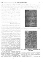 giornale/TO00190201/1941-1942/unico/00000187