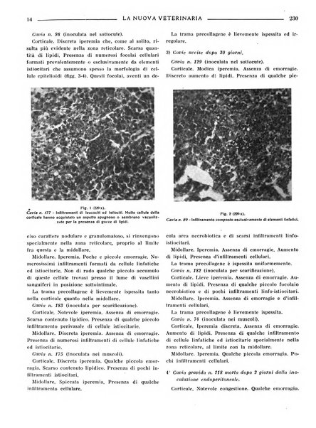 La nuova veterinaria rivista mensile fondata e diretta da Alessandro Lanfranchi