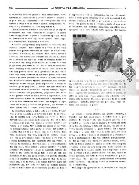 La nuova veterinaria rivista mensile fondata e diretta da Alessandro Lanfranchi