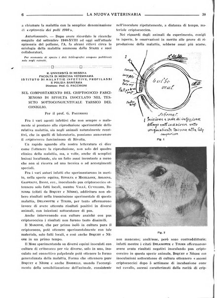 La nuova veterinaria rivista mensile fondata e diretta da Alessandro Lanfranchi