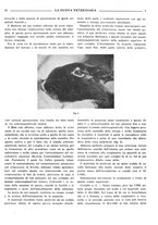 giornale/TO00190201/1941-1942/unico/00000395