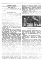 giornale/TO00190201/1941-1942/unico/00000441