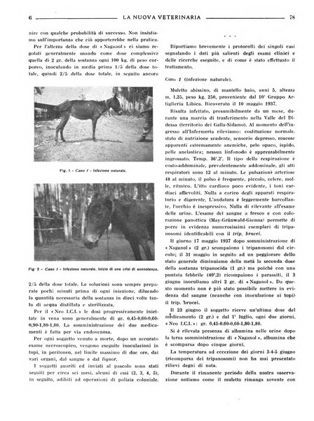 La nuova veterinaria rivista mensile fondata e diretta da Alessandro Lanfranchi