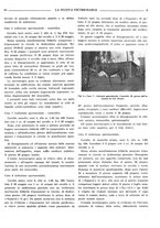 giornale/TO00190201/1941-1942/unico/00000459