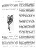giornale/TO00190201/1941-1942/unico/00000464