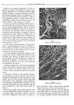 giornale/TO00190201/1941-1942/unico/00000467