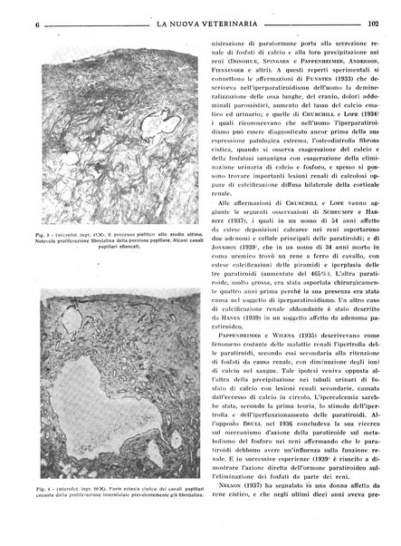 La nuova veterinaria rivista mensile fondata e diretta da Alessandro Lanfranchi