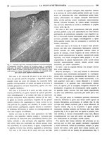 giornale/TO00190201/1941-1942/unico/00000488