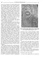giornale/TO00190201/1941-1942/unico/00000489