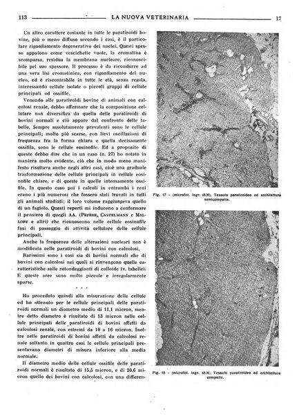 La nuova veterinaria rivista mensile fondata e diretta da Alessandro Lanfranchi