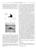 giornale/TO00190201/1941-1942/unico/00000508