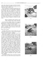 giornale/TO00190201/1941-1942/unico/00000509