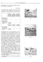 giornale/TO00190201/1941-1942/unico/00000511