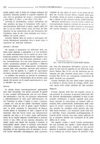 giornale/TO00190201/1941-1942/unico/00000513