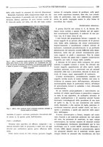 giornale/TO00190201/1941-1942/unico/00000514