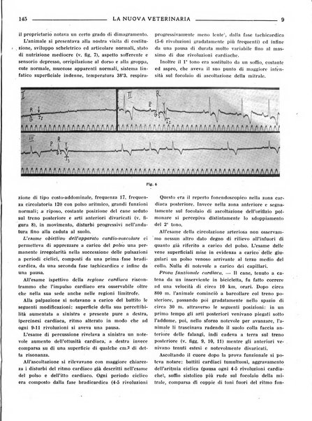 La nuova veterinaria rivista mensile fondata e diretta da Alessandro Lanfranchi