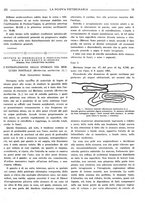 giornale/TO00190201/1941-1942/unico/00000541