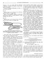 giornale/TO00190201/1941-1942/unico/00000542