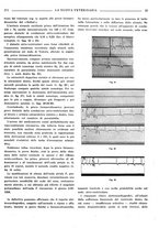 giornale/TO00190201/1941-1942/unico/00000565