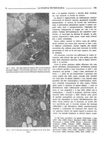 giornale/TO00190201/1941-1942/unico/00000582