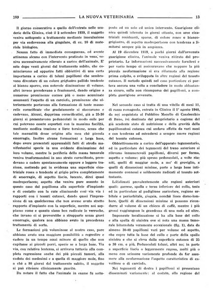 La nuova veterinaria rivista mensile fondata e diretta da Alessandro Lanfranchi