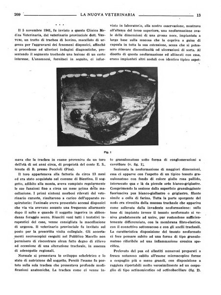 La nuova veterinaria rivista mensile fondata e diretta da Alessandro Lanfranchi