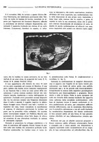 giornale/TO00190201/1941-1942/unico/00000611