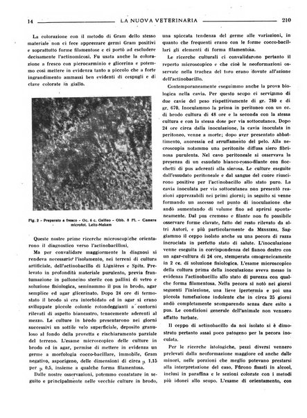 La nuova veterinaria rivista mensile fondata e diretta da Alessandro Lanfranchi