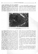 giornale/TO00190201/1941-1942/unico/00000613