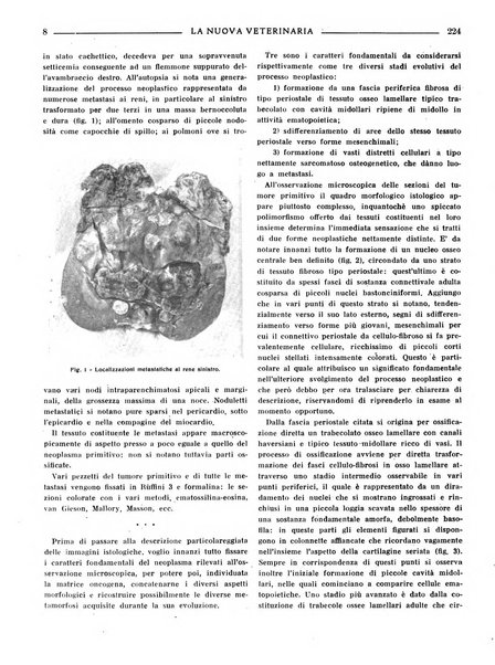 La nuova veterinaria rivista mensile fondata e diretta da Alessandro Lanfranchi