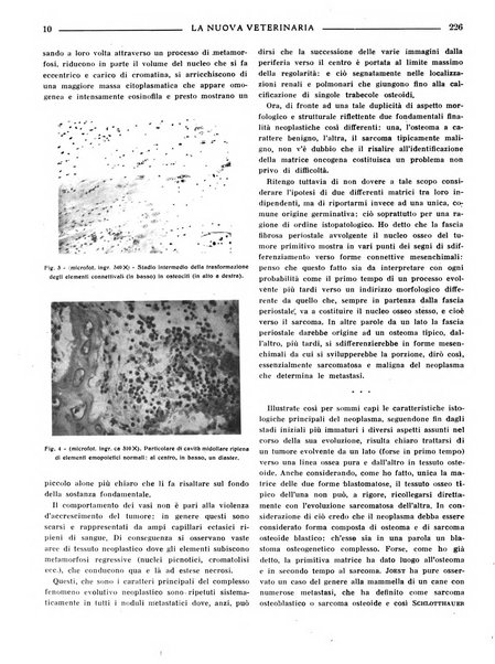 La nuova veterinaria rivista mensile fondata e diretta da Alessandro Lanfranchi