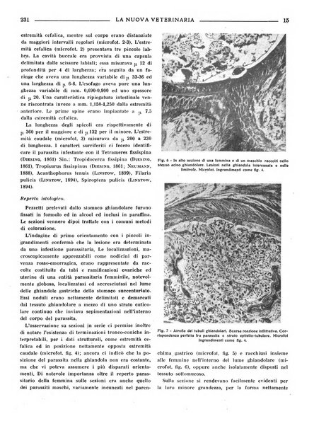 La nuova veterinaria rivista mensile fondata e diretta da Alessandro Lanfranchi