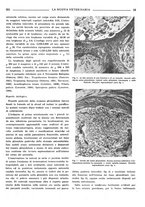 giornale/TO00190201/1941-1942/unico/00000637