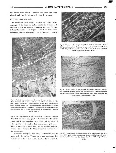 La nuova veterinaria rivista mensile fondata e diretta da Alessandro Lanfranchi