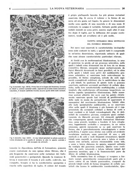 La nuova veterinaria rivista mensile fondata e diretta da Alessandro Lanfranchi