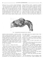 giornale/TO00190201/1942-1943/unico/00000082