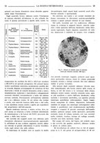 giornale/TO00190201/1942-1943/unico/00000083