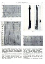 giornale/TO00190201/1942-1943/unico/00000099