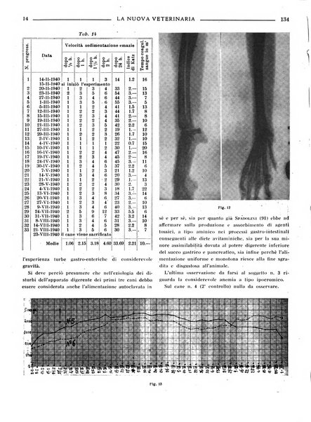 La nuova veterinaria rivista mensile fondata e diretta da Alessandro Lanfranchi