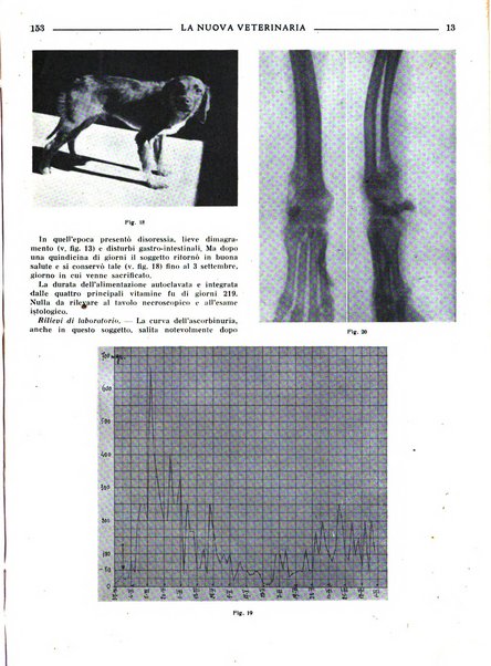 La nuova veterinaria rivista mensile fondata e diretta da Alessandro Lanfranchi