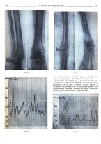 giornale/TO00190201/1942-1943/unico/00000201