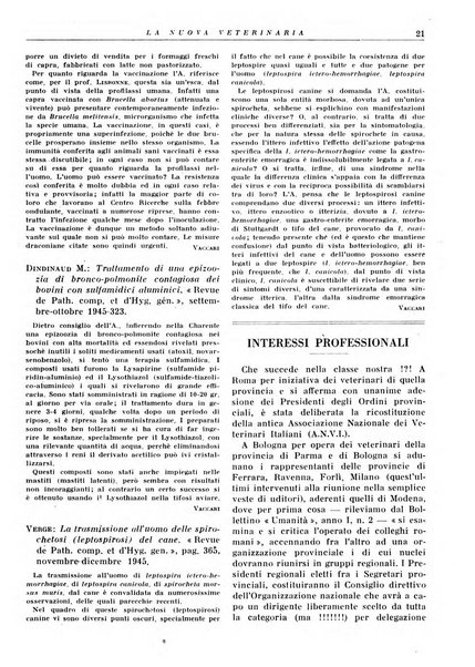 La nuova veterinaria rivista mensile fondata e diretta da Alessandro Lanfranchi