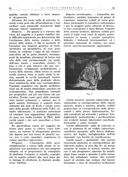 La nuova veterinaria rivista mensile fondata e diretta da Alessandro Lanfranchi